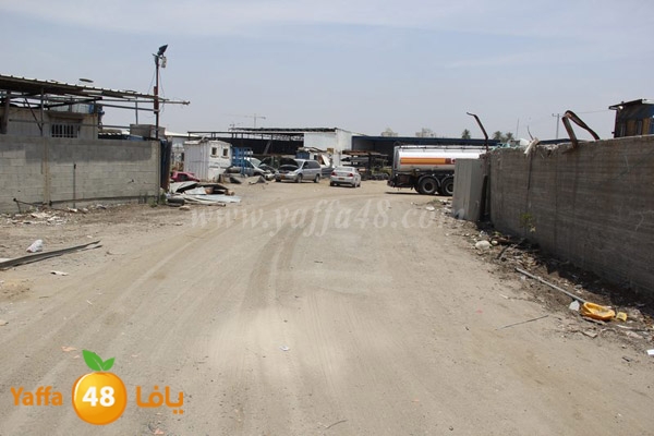 abo selmeiy 0528 (5).JPG